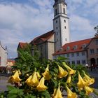 Münster Unserer lieben Frau