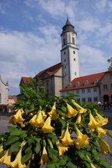 Münster Unserer lieben Frau