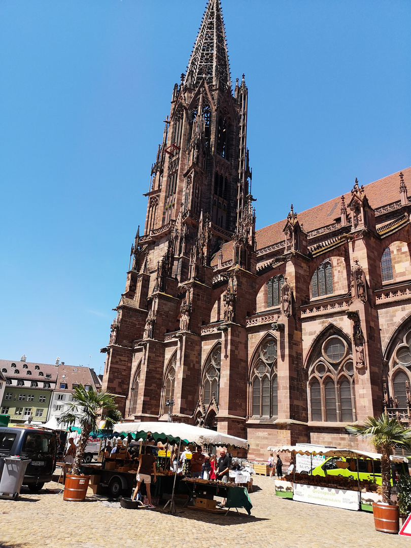 Münster "Unserer Lieben Frau"