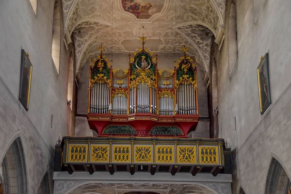 Single frauen radolfzell