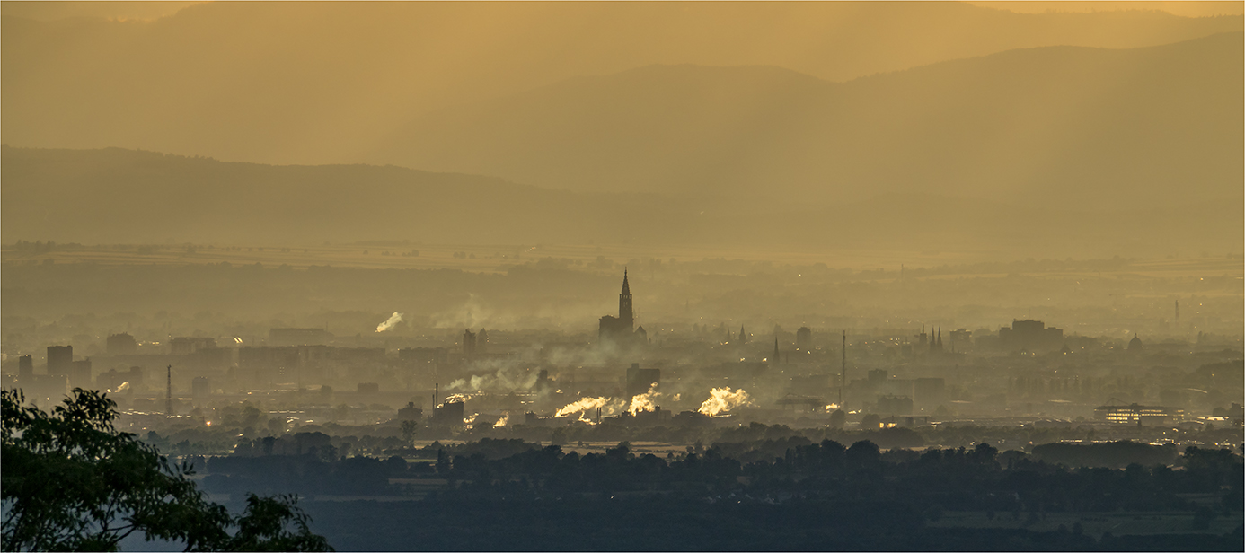 Münsterblick...