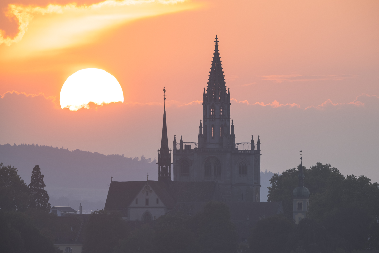 Münsterblick