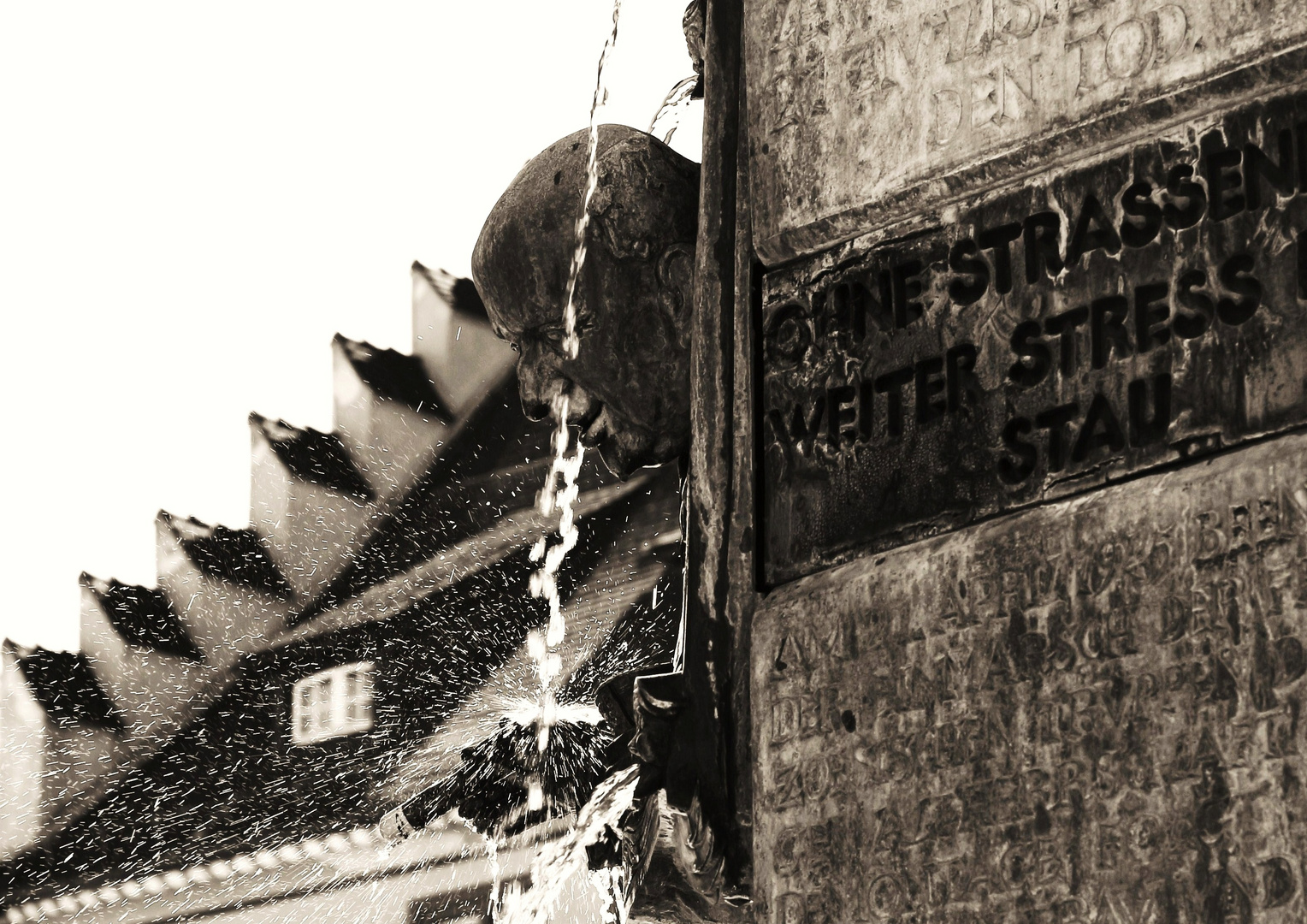 Münsterbrunnen/Villingen (6)