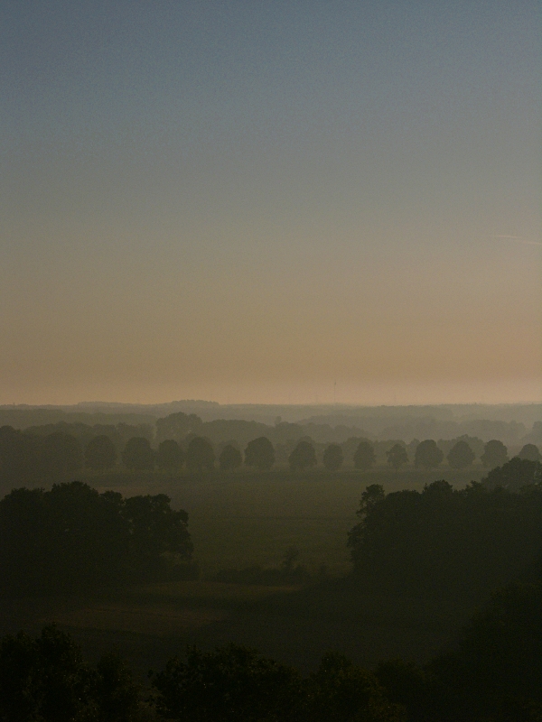 Münsterländische Parklandschaft, August, 10 Minuten nach sechs