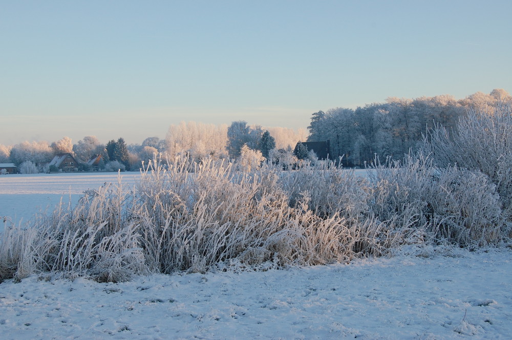 Münsterländische Parklandschaft im Frost