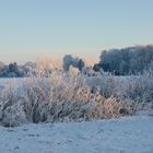 Münsterländische Parklandschaft im Frost