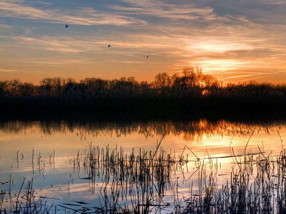 Münsterland