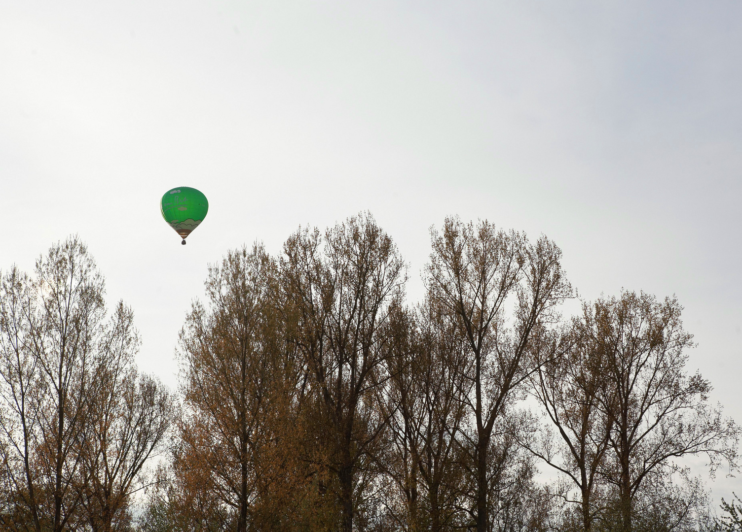 Münsterland 2008