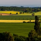 Münsterland