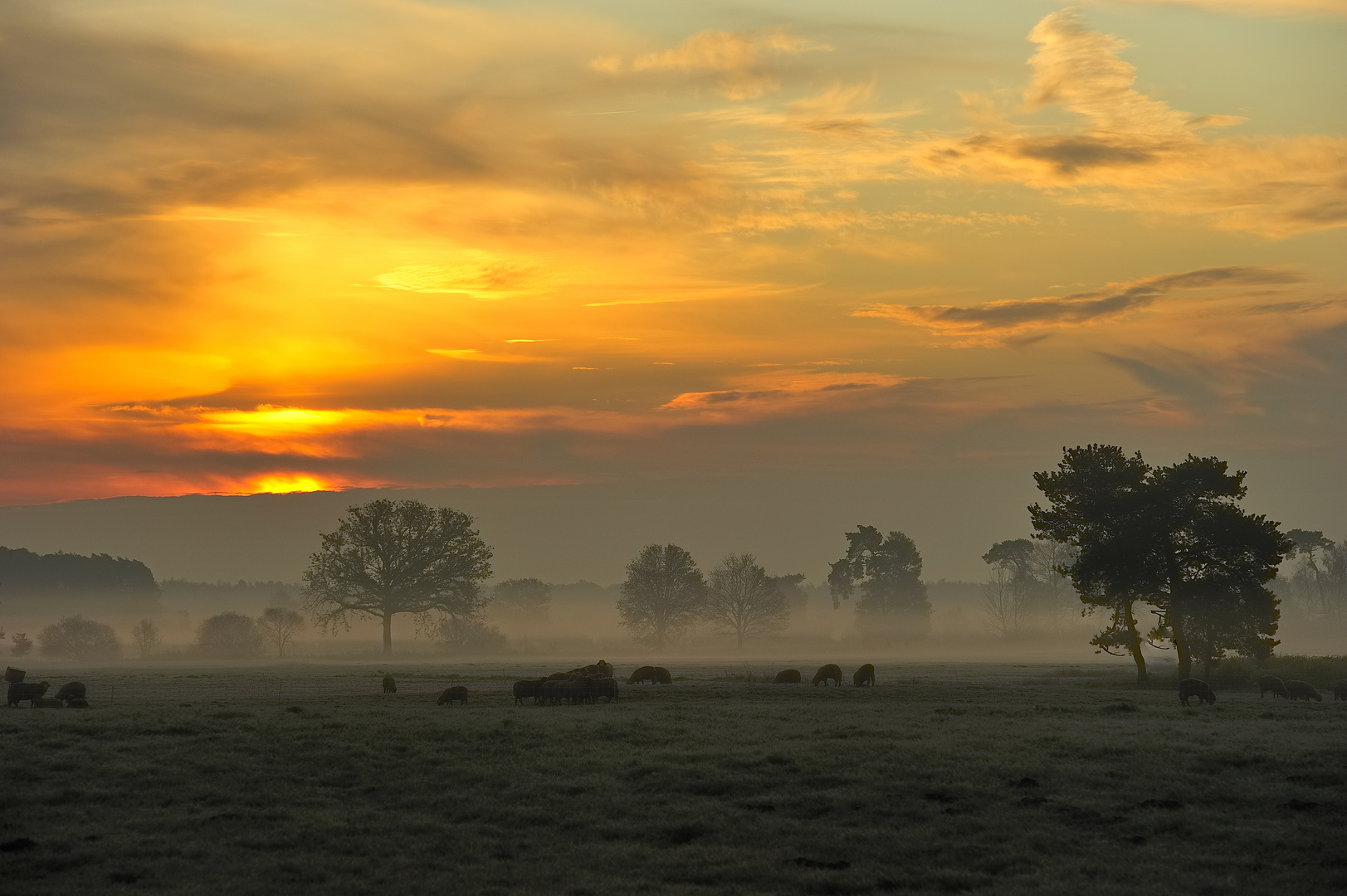 Münsterland Foto & Bild landschaft, heide, natur Bilder auf