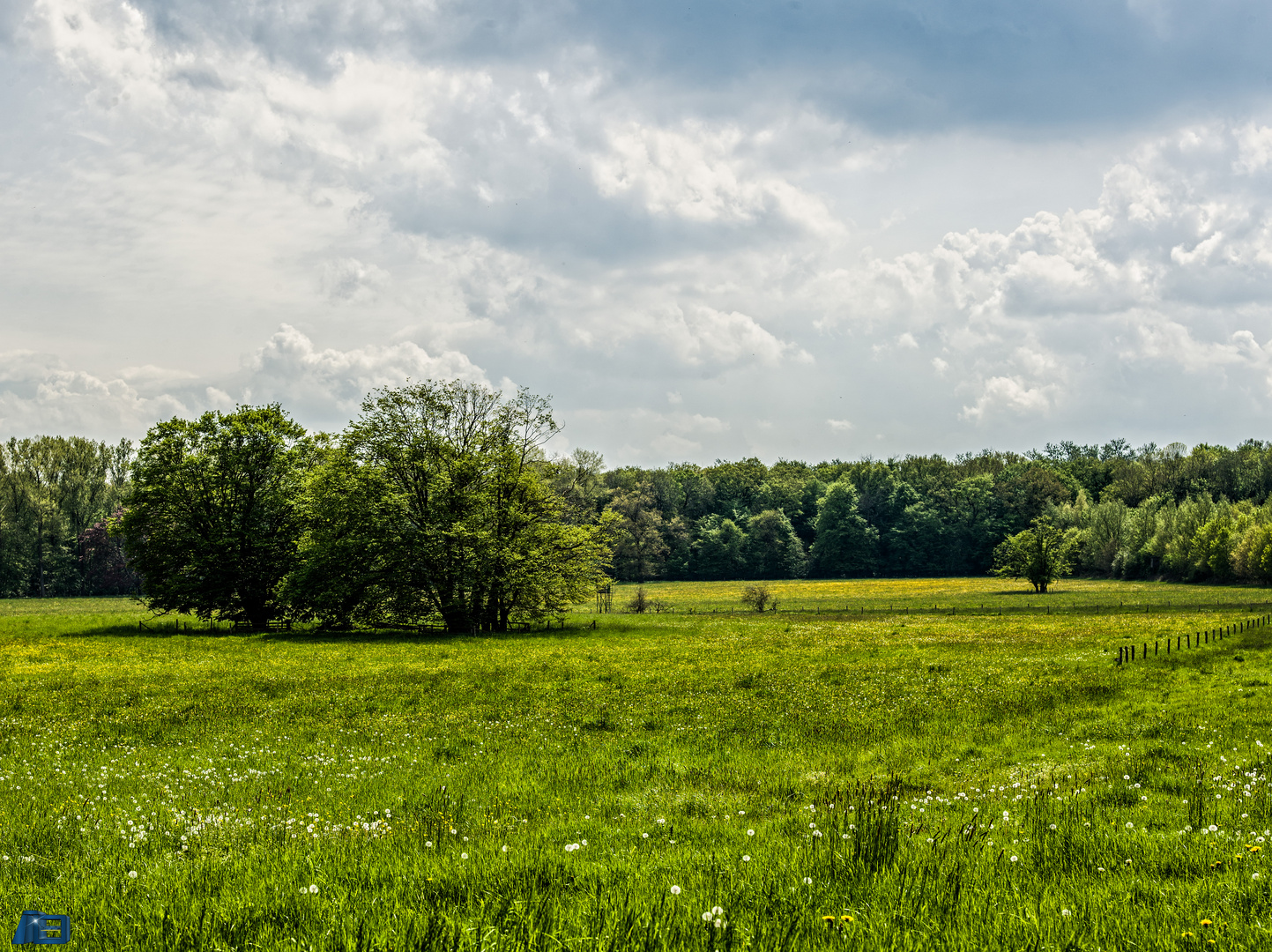 Münsterland