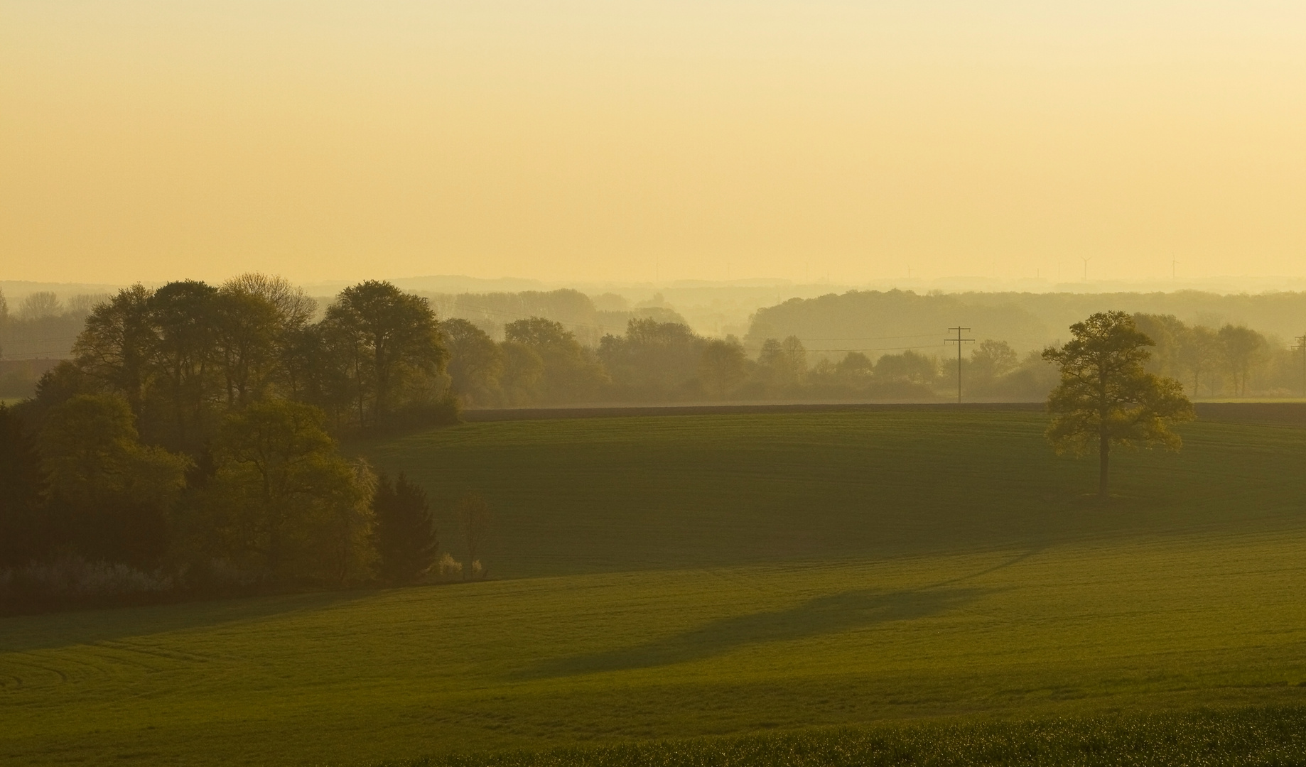 Münsterland