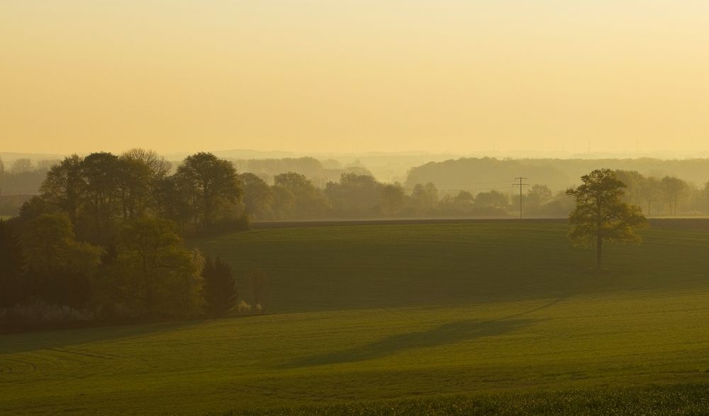 Münsterland von Karl Dichtler 