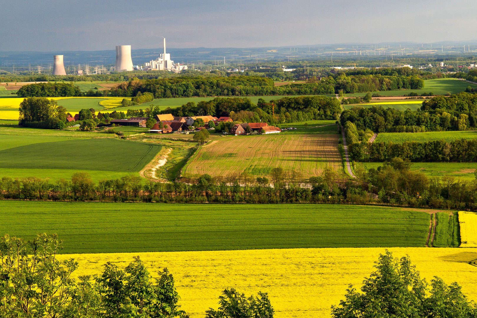 Münsterland Foto & Bild landschaft, Äcker, felder & wiesen, natur