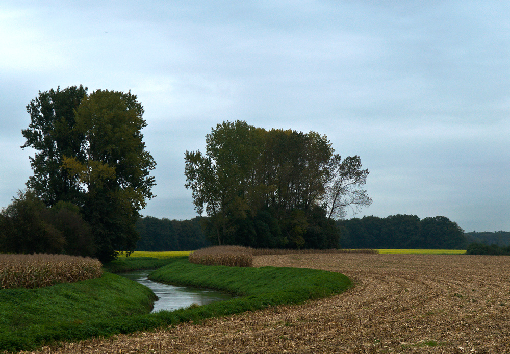 Münsterland