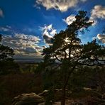 Münsterland blick