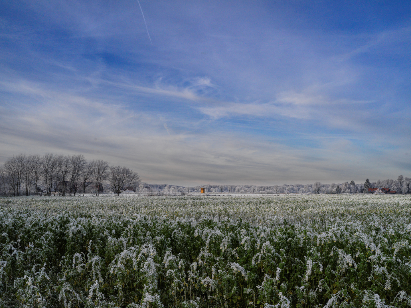 Münsterland Dezember 2022: kalt aber schön