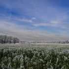 Münsterland Dezember 2022: kalt aber schön