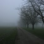 Münsterland im Nebel 01