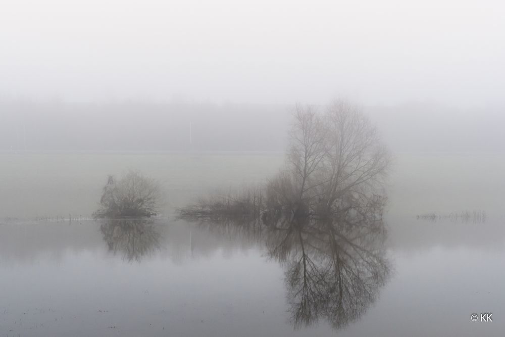 Münsterland im Nebel 1