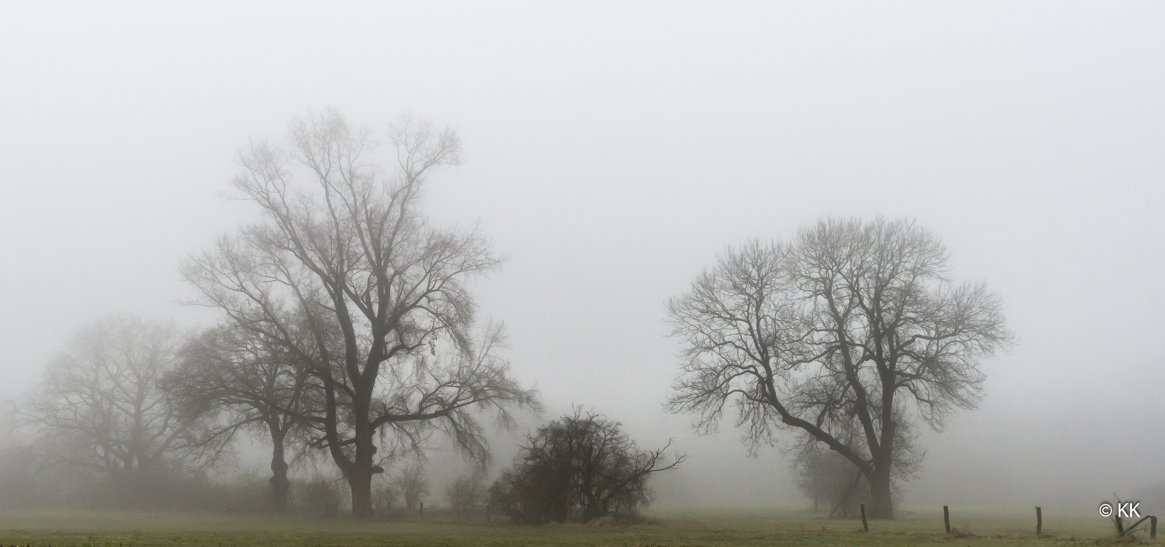 Münsterland im Nebel 2