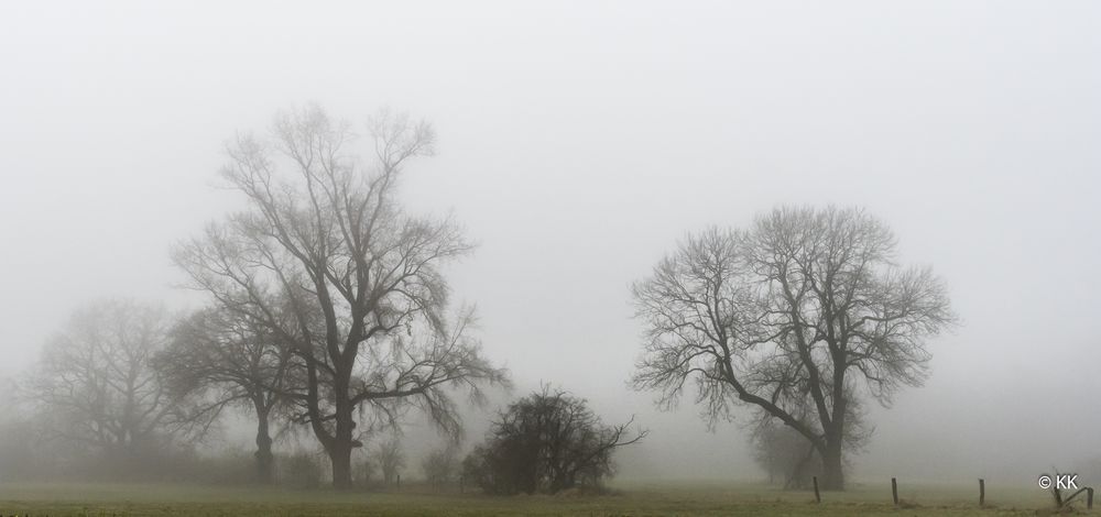 Münsterland im Nebel 2