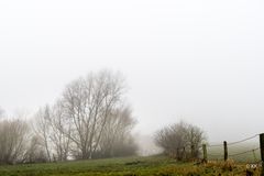 Münsterland im Nebel 3