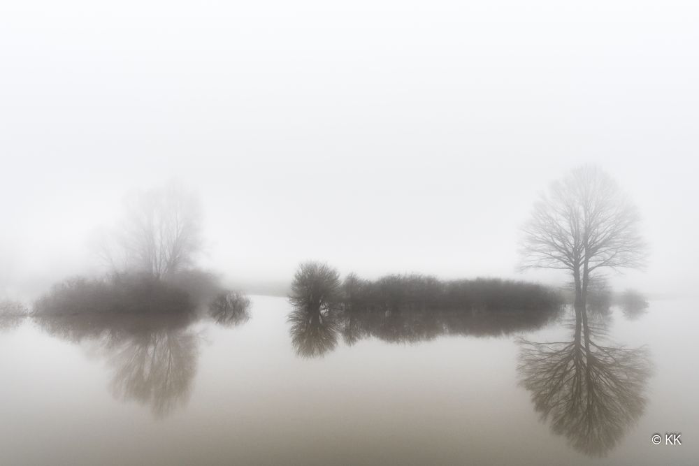 Münsterland im Nebel 4