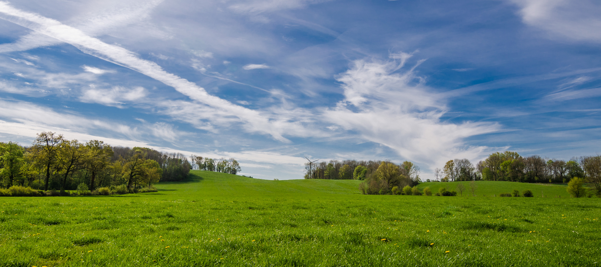 Münsterland - Panorama