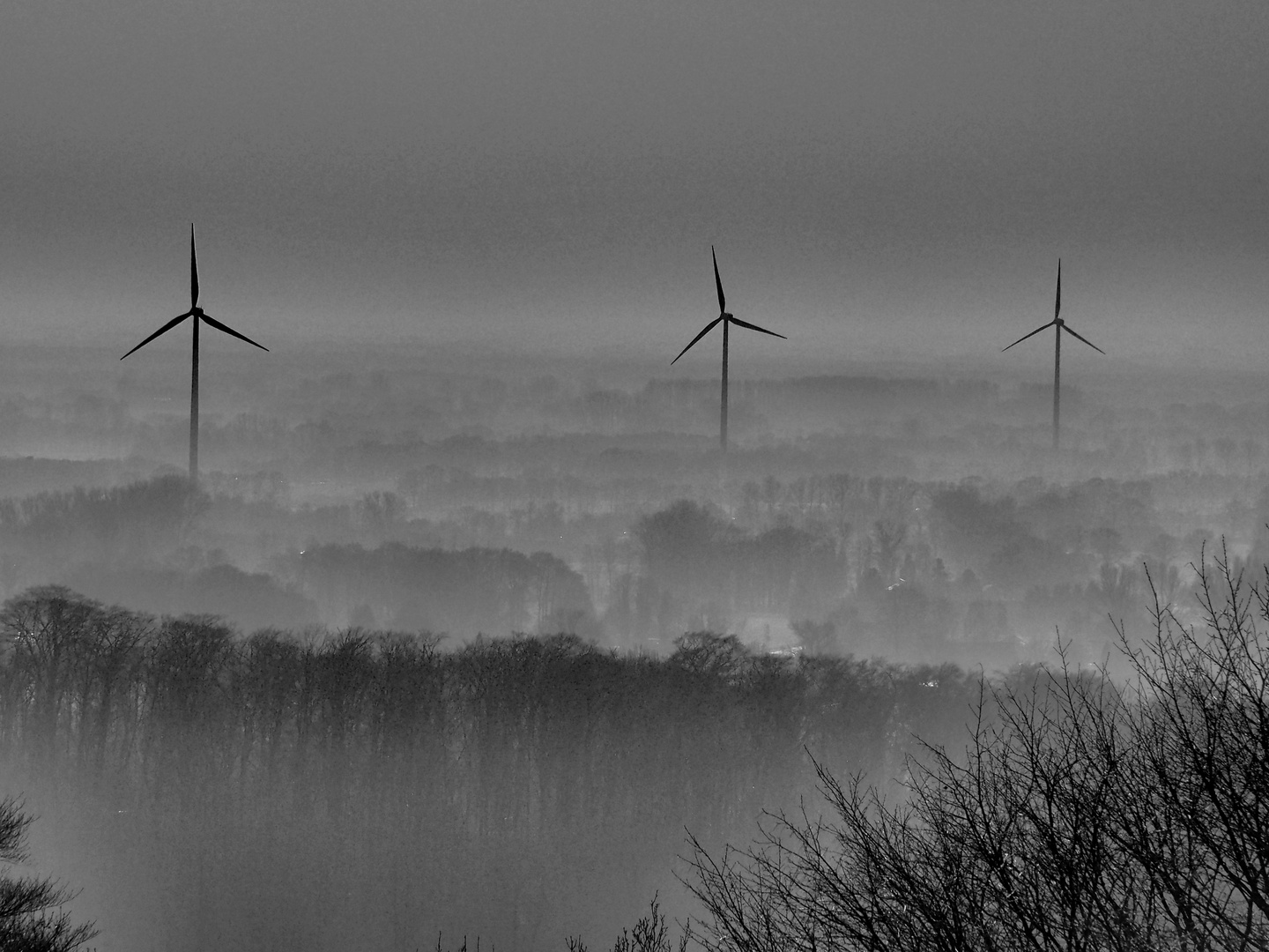 Münsterlandblick ohne Weitblick