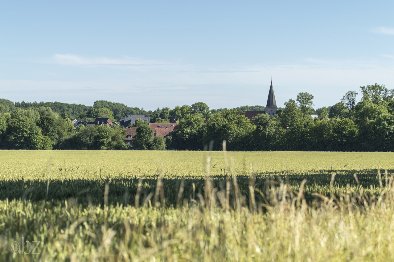 Münster/Nienberge