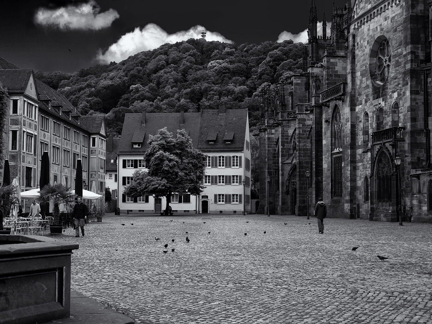 Münsterplatz Freiburg