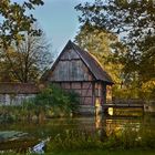 Münsters Mühlenhof im Herbstlicht