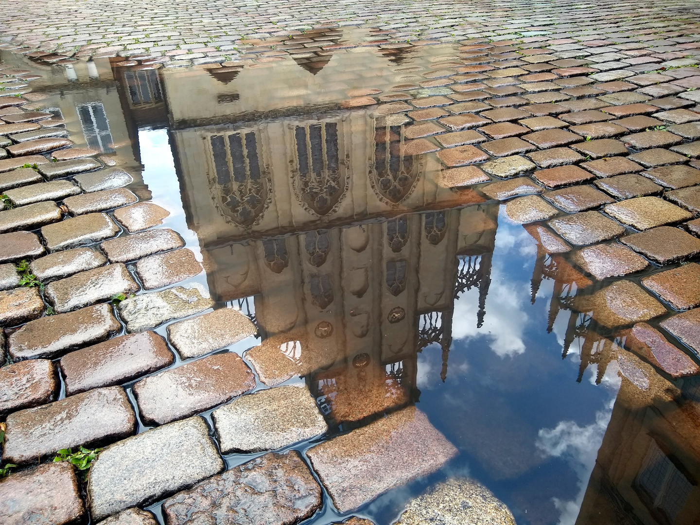 Münsters Rathaus gespiegelt 