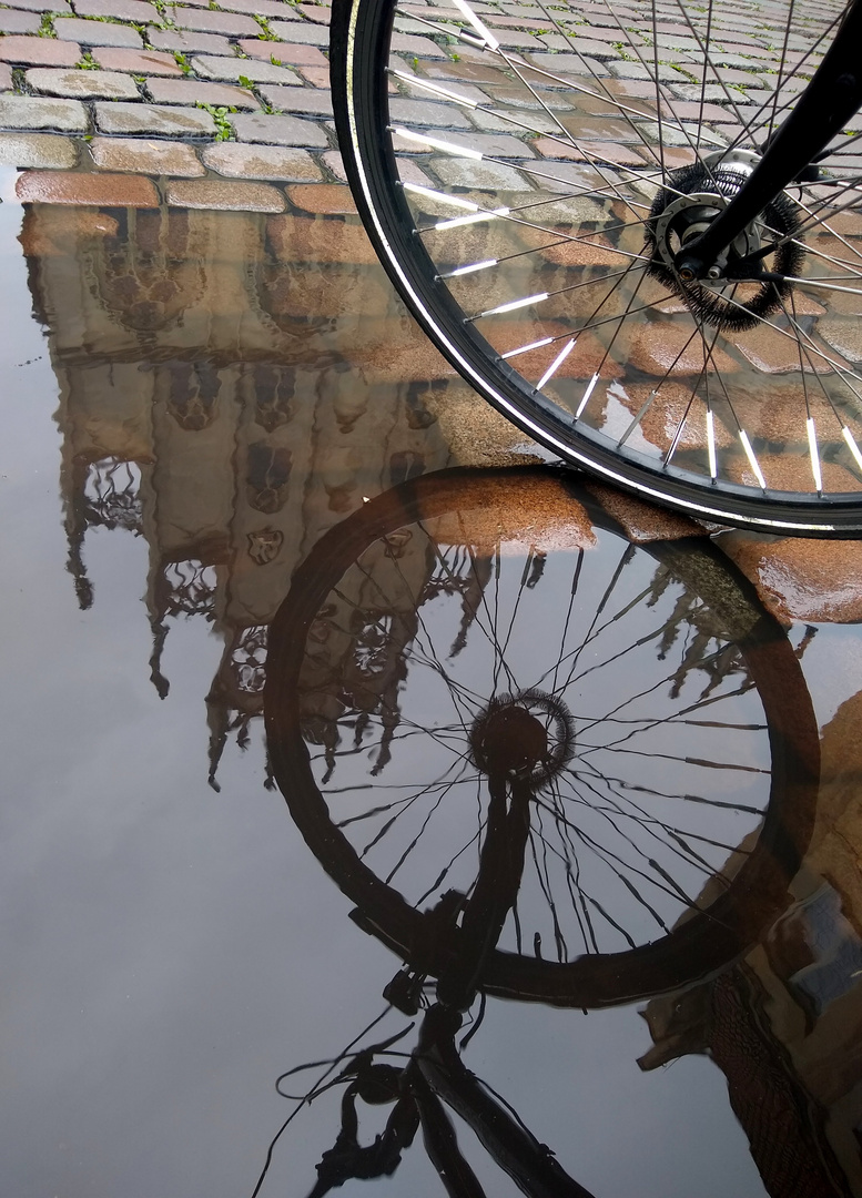 Münsters Rathaus gespieglt mit Fahrrad