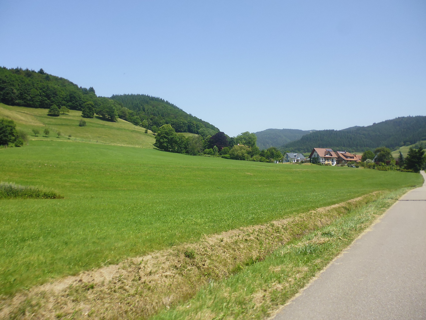 Münstertäler Landschaftszüge