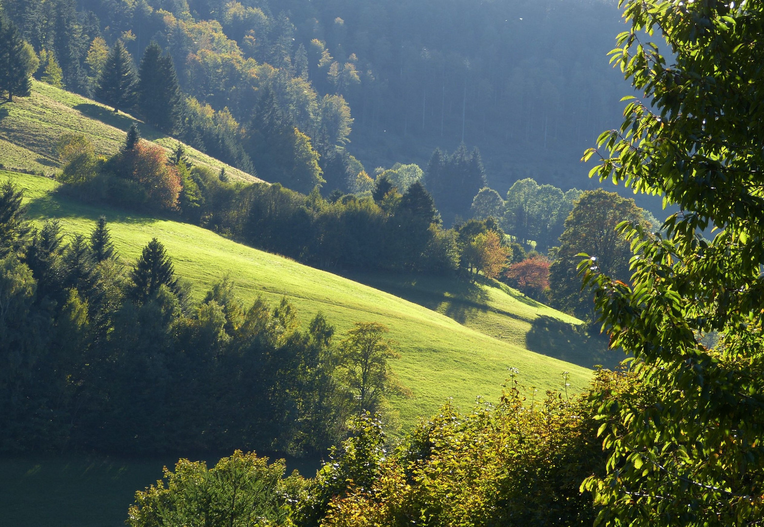 Münstertal