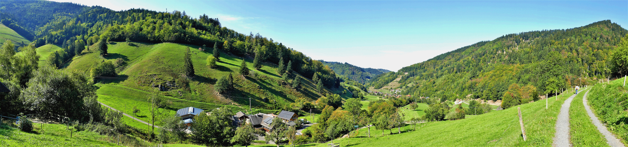  Münstertal - Hochschwarzwald