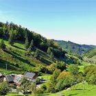  Münstertal - Hochschwarzwald