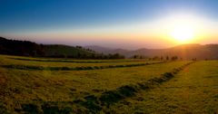 Münstertal im Abendlicht