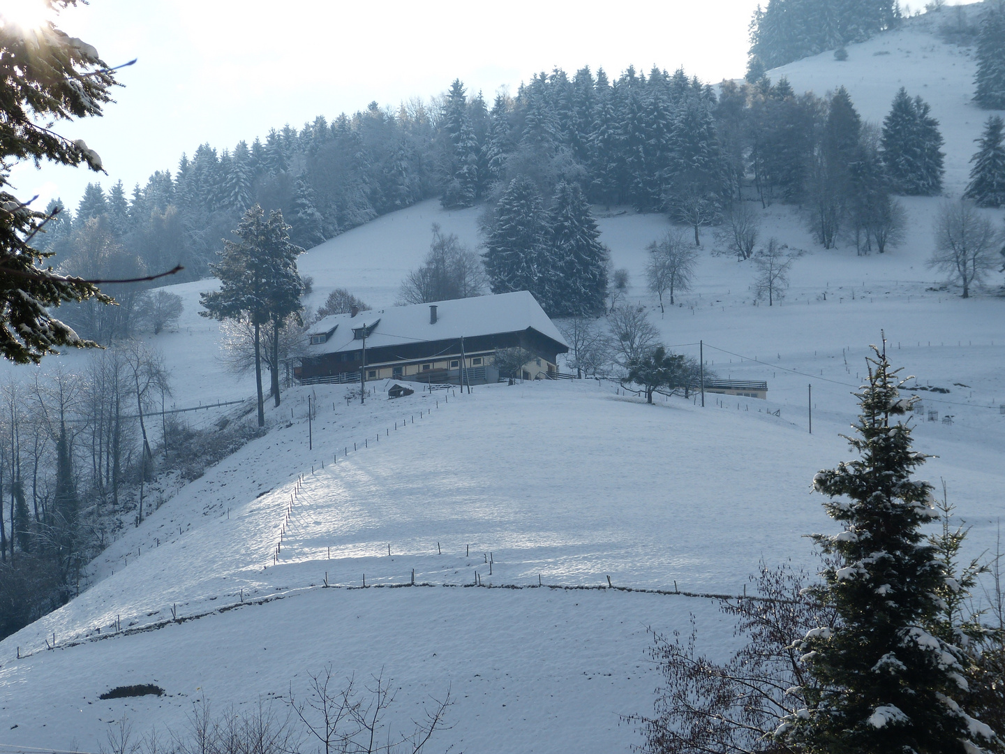 Münstertal im Schwarzwald