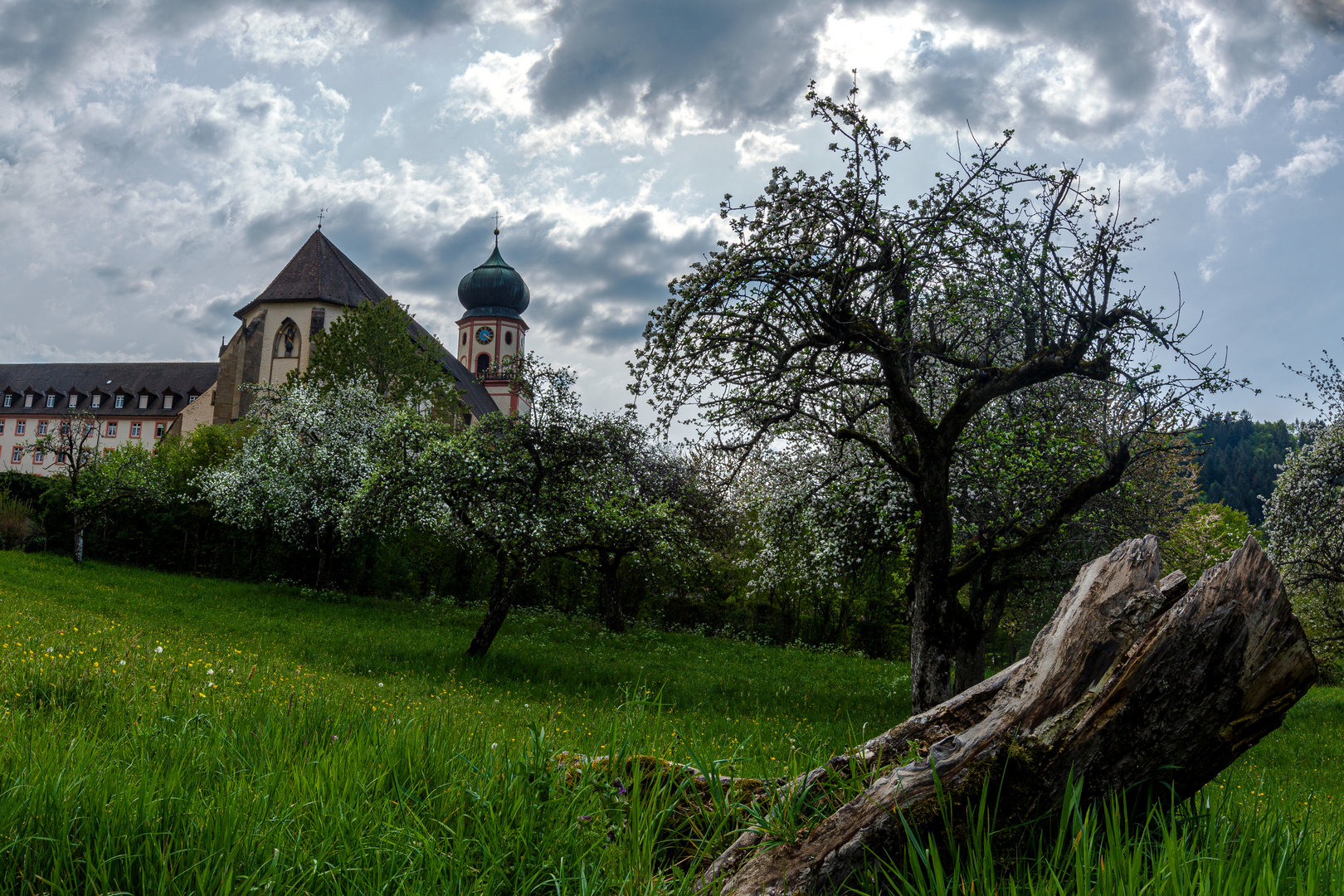 münstertal kloster trudpert III