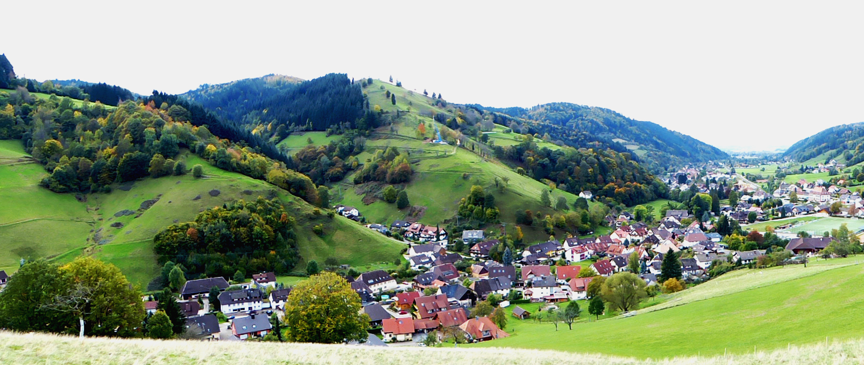  Münstertal Panorama