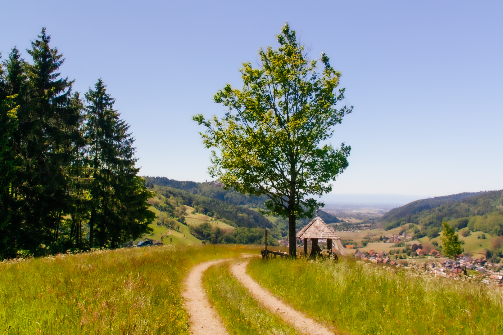 Münstertal/Schwarzwald