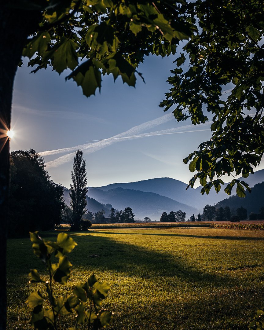 Münstertal/Schwarzwald