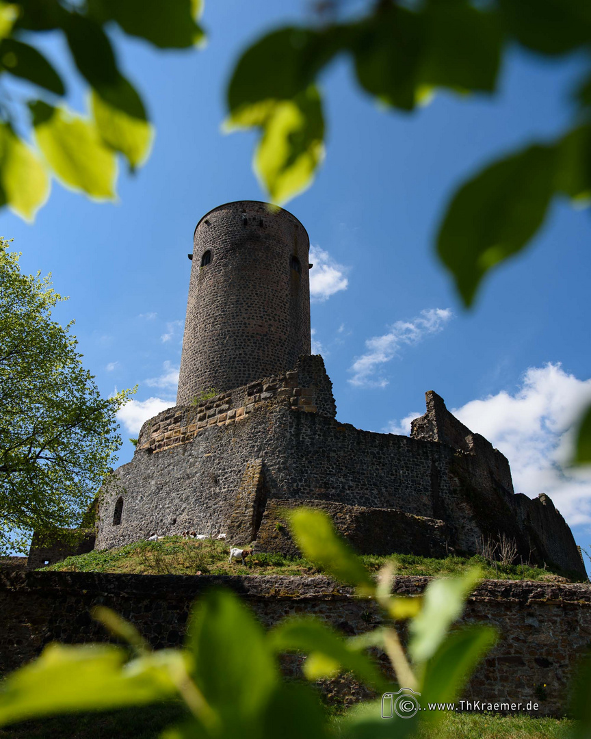 Münzenberg D75_5215