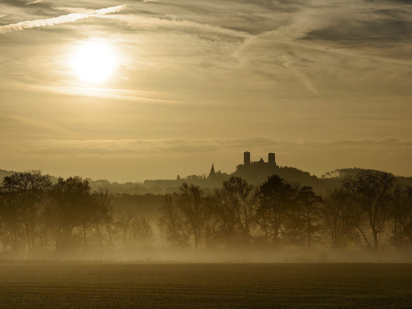 Münzenburg im Nebel