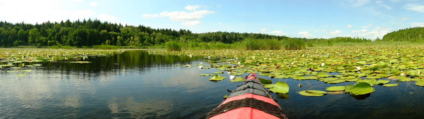 Müritz