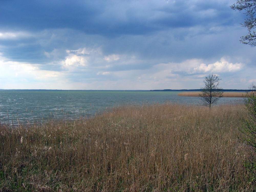 Müritz