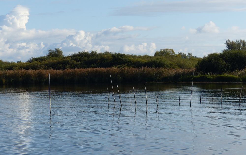 Müritz bei Röbel